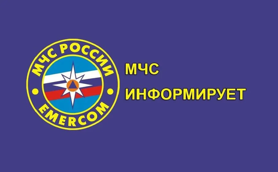 Информация Главного управления МЧС России по Нижегородской области о неблагополучной обстановке с природными пожарными на территории Нижегородской области на период 6 мая 2025 г.